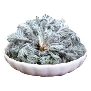 三月嫩茵陈新鲜正品鲜野生藏茵陈白蒿嫩芽土棉茵陈茶