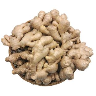 千牛优福 新鲜小黄姜500g 新鲜老姜生姜黄姜土姜子姜鲜姜