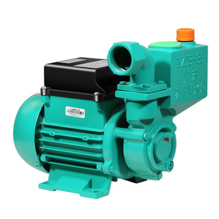 凌霄水泵1DZB-35/45/65抽水机自来水井水抽水220V自吸清水增压泵