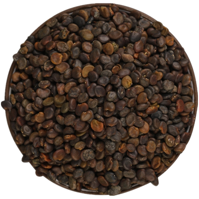 出售草药黄芪种子新棉芪绵芪铁杆软秸黄氏种籽四季播种包邮送资料