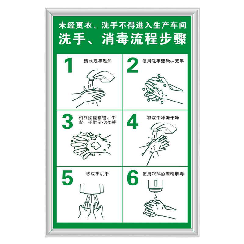 洗手消毒流程步骤食品加工厂厨房更衣室进入车间KT看板上墙标语牌