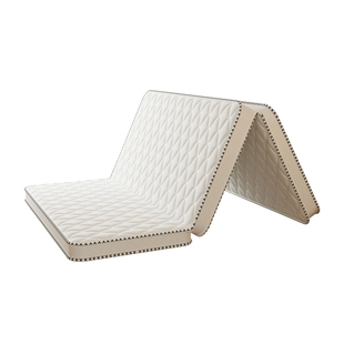 棕榈垫硬垫子天然椰棕护脊硬床垫租房专用10cm1米5加厚可折叠中垫