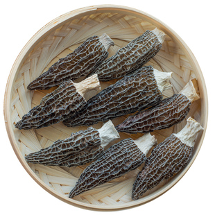 羊肚菌干货精选头茬羊肚菇非新鲜菌菇类云南高原煲汤营养食材100g