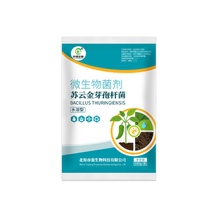 全水溶型苏云金芽孢杆菌浸染钻心虫小菜蛾植物菜青虫玉米螟等虫体