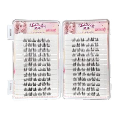 FAICCIA霏汐太阳花免胶假睫毛