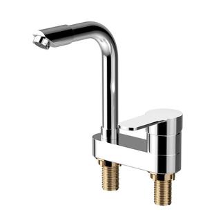 洗脸盆水龙头全铜卫生间水龙头冷热水二合一万向头双孔面盆水龙头