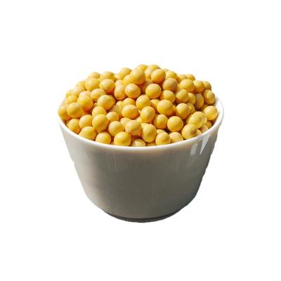 农户大面积种植大豆37中黄种子