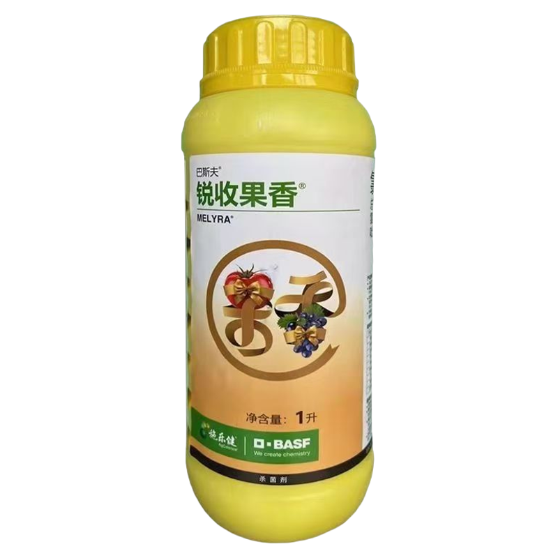 锐收果香巴斯夫柑橘炭疽病黄瓜白粉病早疫病叶斑病杀菌剂增产保果