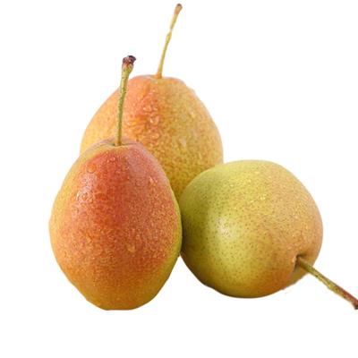 【红香酥梨人气榜】TOP商家