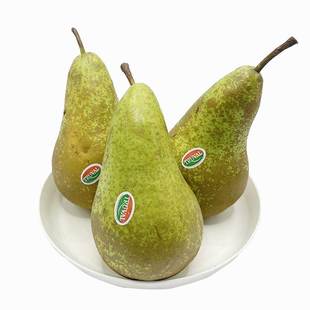 啤梨比利时12个进口新鲜水果当季荷兰孕妇儿童软梨子小核丑青啤梨