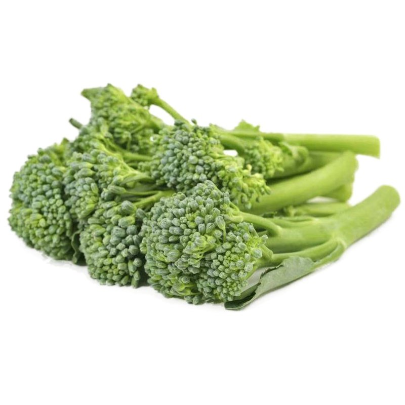 正宗西兰苔种子种籽西兰花苗秧西蓝苔芥兰菜菜苔西兰苔菜苗秧苗
