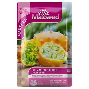【MARSEED火星家】Jelly Melon 非洲角浆果水果 果冻瓜种子籽孑