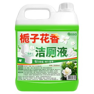 洁厕灵厕所清洁剂强力除垢除臭清香型液洗马桶强力去污去黄草酸