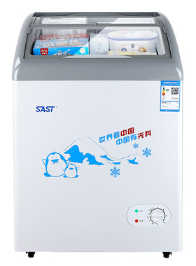 先科商用雪糕柜展示柜速冻冷柜