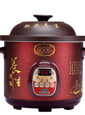 粤友智能电炖锅养生煲汤煮粥