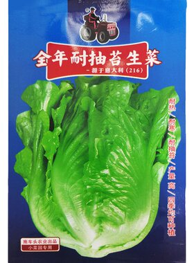 春秋四季播套餐包邮草莓蔬菜种子