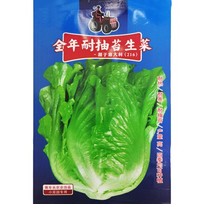 春秋四季播套餐包邮草莓蔬菜种子