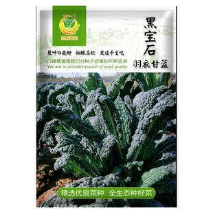 羽衣甘蓝种籽特菜蔬菜种子春秋冬季阳台盆栽种孑四季农家菜籽