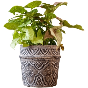 掬涵经典元素红陶花盆花器透气土培绿植种植插花阳台花园艺术花瓶