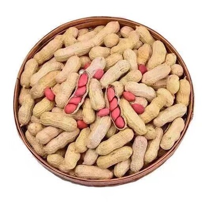 带壳红皮花生晒干生的农家种子新鲜四粒红衣花生米2025新货自种