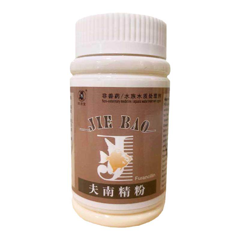 观赏鱼充血炸鳞片烂尾烂肉