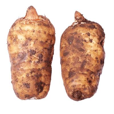 云南昭通新鲜天麻产地非特级贵州