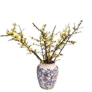 素心腊梅花腊梅枝条腊梅鲜切花插花带花苞遇水开花水养真花年宵花