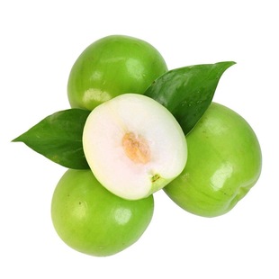 福建牛奶枣大青枣贵妃枣新鲜采摘甜脆多汁水果时令当季蜜枣自然熟