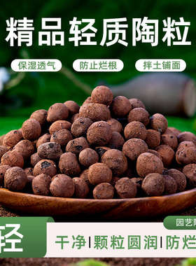 陶粒花用垫底多肉盆栽铺面石轻质陶土水培鱼缸透气小碳球园艺回填