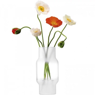 英国LSA创意手工磨砂玻璃花瓶轻奢水培装饰花器 客厅鲜花插花透明