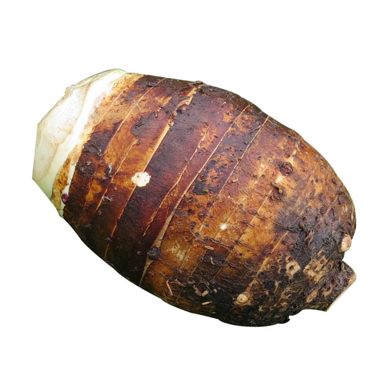 荔浦直发新鲜荔浦芋头