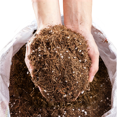 天然松针腐殖土疏松透气无虫卵