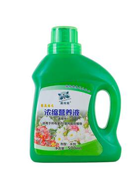 营养土兰花厂家直销品质保证
