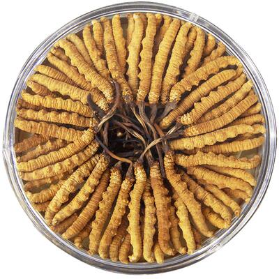 那曲野生正宗冬虫夏草西藏直发