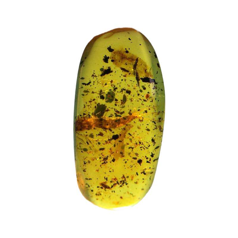 纯天然琥珀虫珀化石吊坠戒面