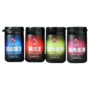 新款透明七彩菌王原装肠炎腹水厌食不吃食白线便便面壁内外寄黑体