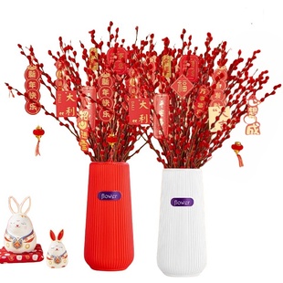 银柳专用花瓶摆件客厅插花雪柳鲜花冬青年宵花仿陶瓷亚克力大花瓶