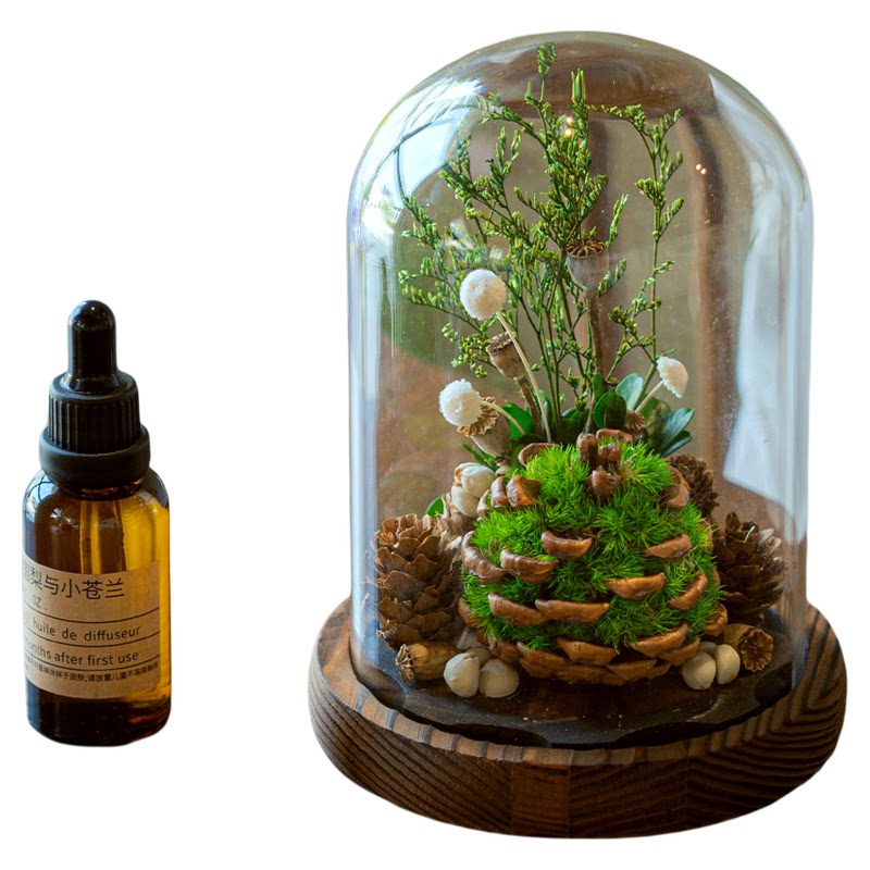 小森林香氛生日礼物扩香桌面绿植摆件教师节创意手工植物香薰礼盒