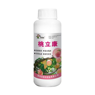 农良丰桃立康桃树病菌清流胶病穿孔桃树杀菌剂改善品质提高免疫力