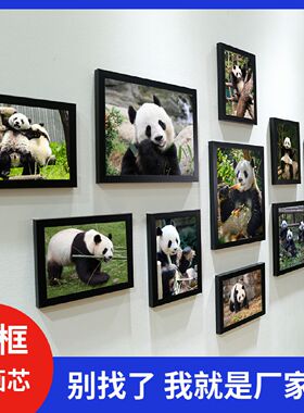 保护动物国宝大熊猫照片写真壁挂画大幅海报装饰画照片墙挂墙相框