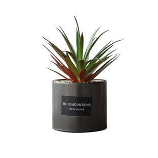 创意ins北欧绿色仿真多肉植物盆栽桌面假花客厅摆设办公室小盆景