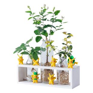 水培植物办公室工位绿植招财盆栽富贵竹绿萝室内客厅桌面摆件水养