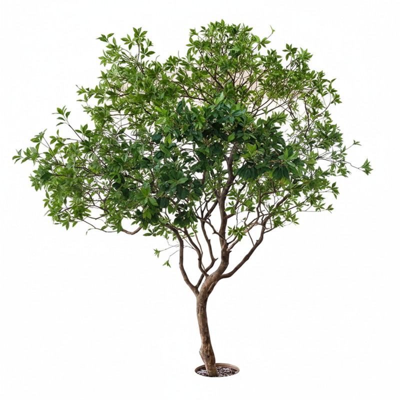 马醉木仿真绿植造景植物景观装饰