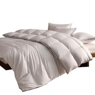 irisette德国95白鹅绒蚕丝复合被双感羽绒被冬被加厚被芯春秋被子