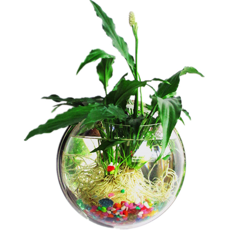 亚克力花盆壁挂盆栽花卉园艺花瓶