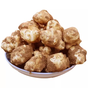 新鲜洋姜现挖现发鬼子姜菊芋洋芋头姜不辣脆嫩地姜农家蔬菜鲜洋姜