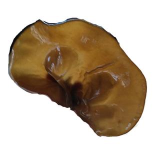 东北特产纯黑木耳软糯野生柞木上生长干货山木耳天然晾晒250g级秋