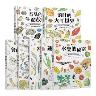 盛口满的手绘自然图鉴6册套装 水果的秘密蔬菜的植物学 浪花朵朵童书 儿童插图水彩水果谷物骨头科普百科绘本书籍