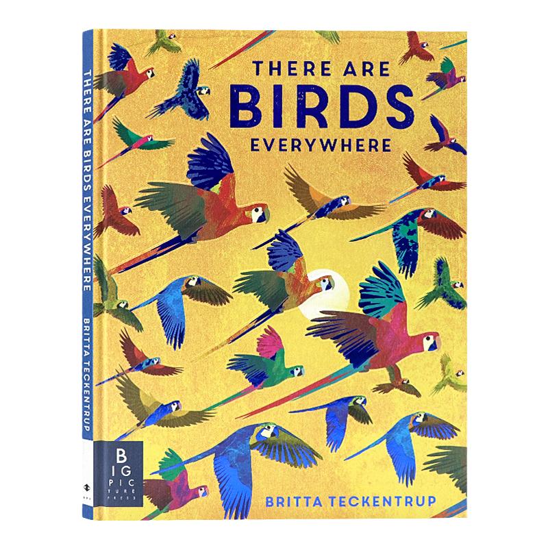 无处不在的鸟儿英文原版绘本 There are Birds Everywhere 亲子读物Britta Teckentrup精装艺术插画自然科普Big Picture Press