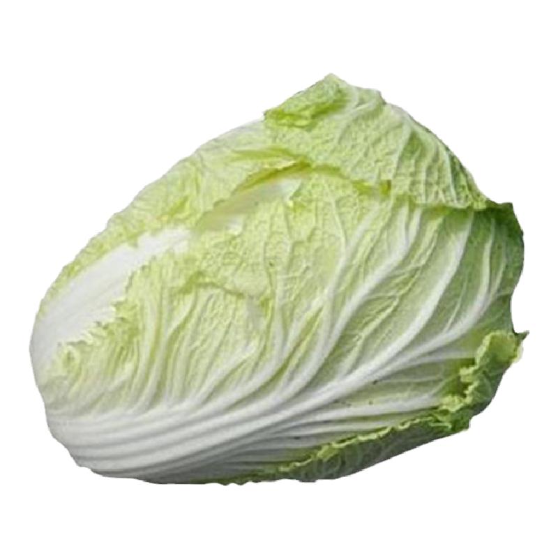 大白菜黄心大白菜5斤包邮